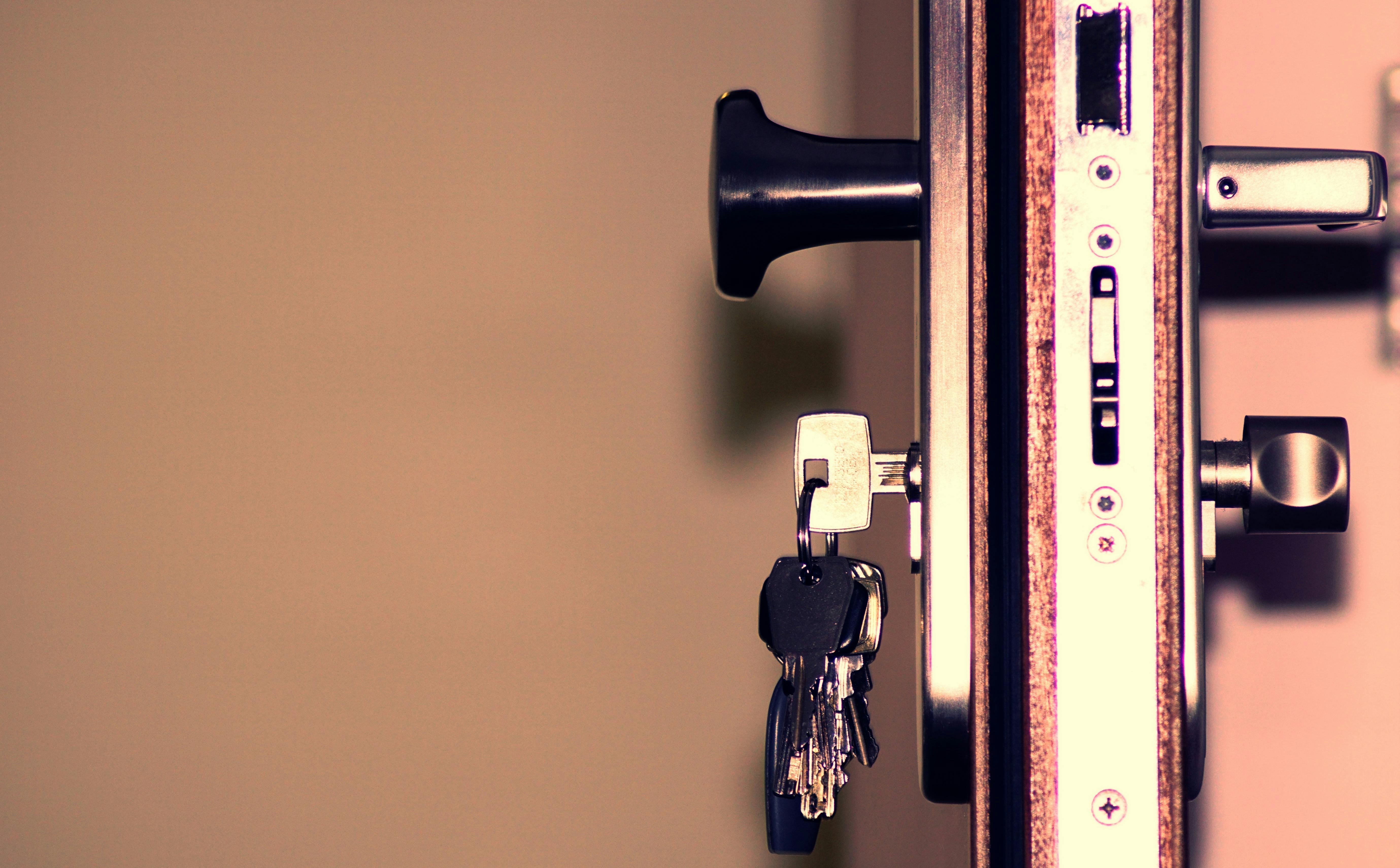 Professional door lock service